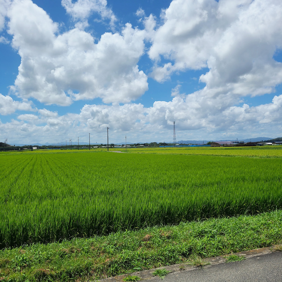 田園