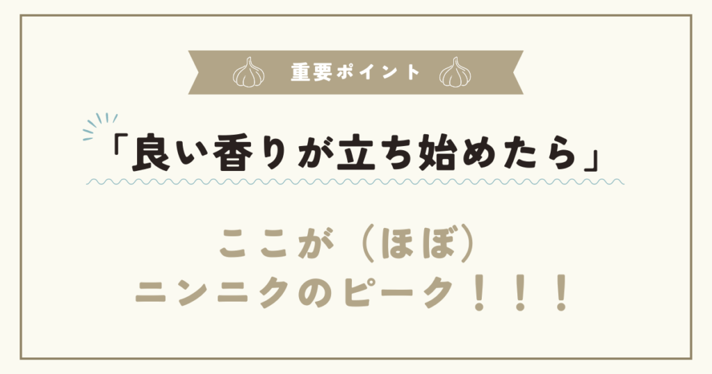 「良い香りが立ち始めたら」ここが（ほぼ）
ニンニクのピーク！！！