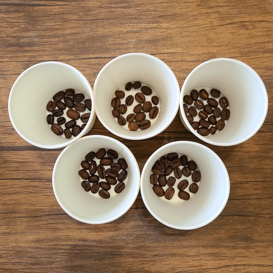 5種のコーヒー豆がそれぞれカップに入っている。