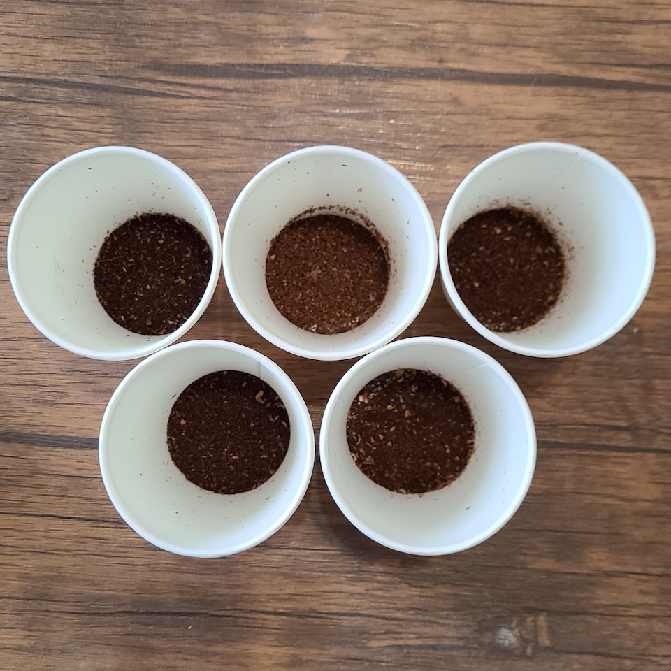 5種の挽いたコーヒー豆がそれぞれカップに入っている。