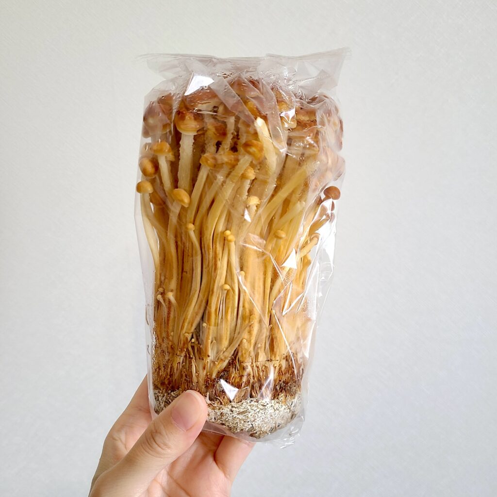 坂ノ途中のブラウンえのき