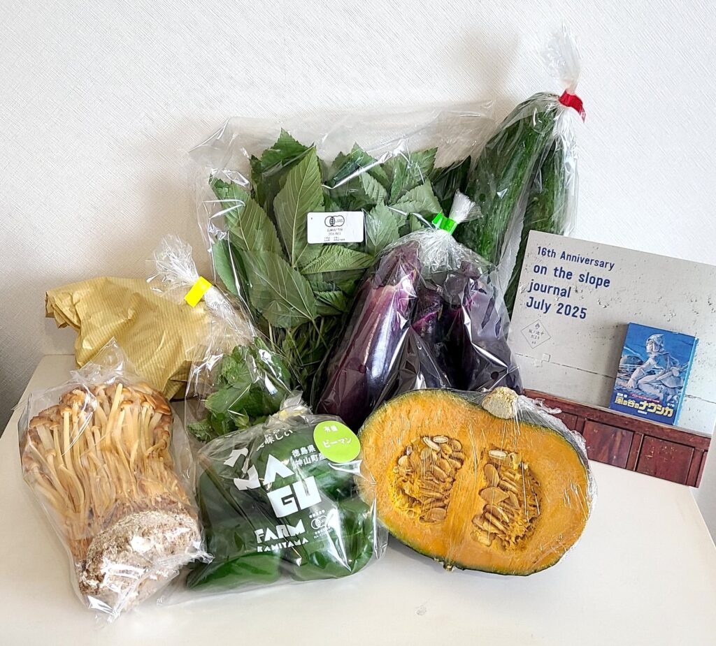 坂ノ途中の旬のお野菜セット（S）