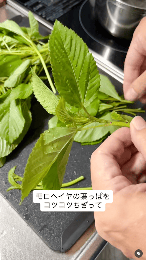 モロヘイヤは葉をちぎる