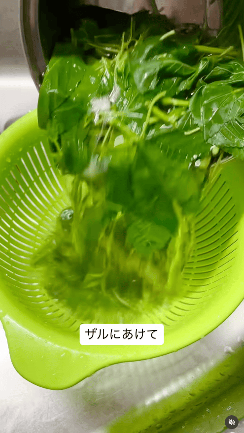ザルにあげる