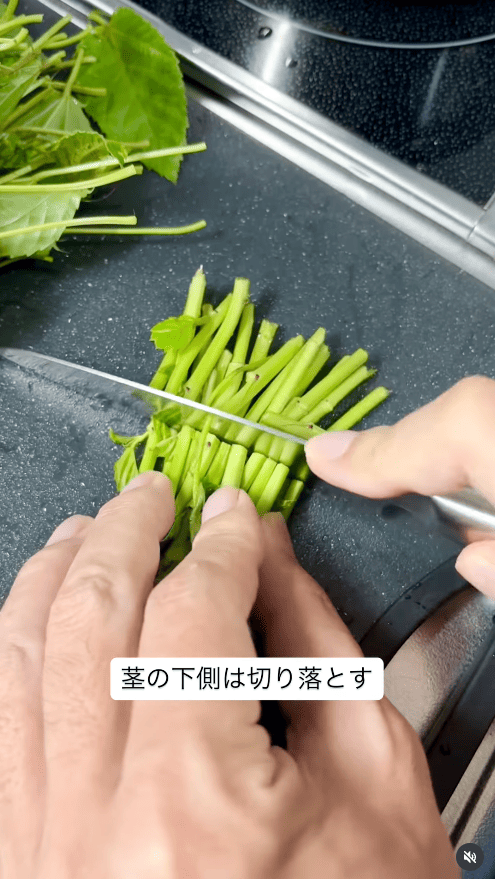 茎の下側は切り落とす