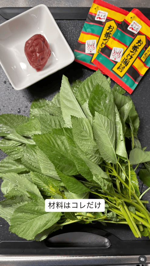 材料