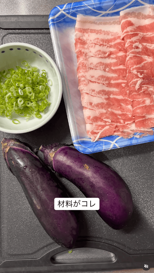 材料