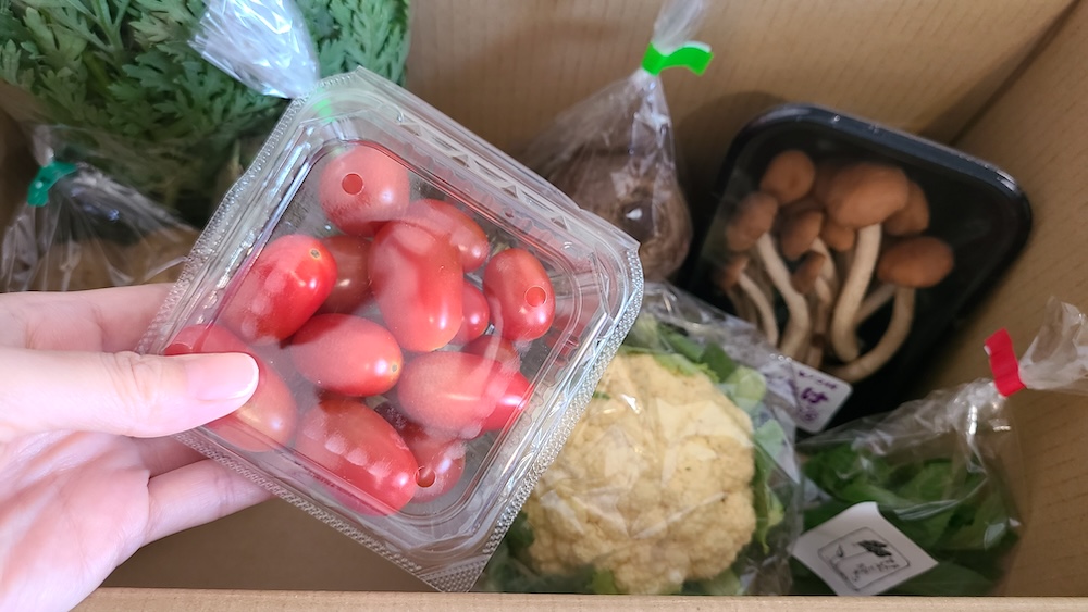 坂ノ途中2025年6月のセット内容