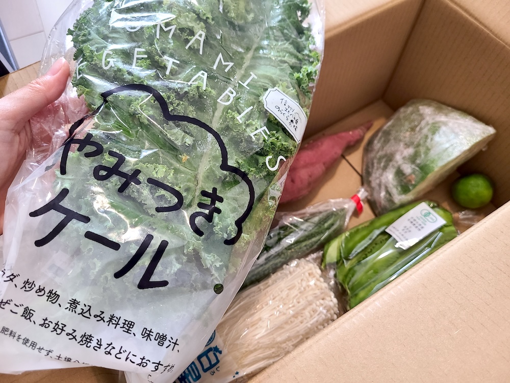 坂ノ途中2025年9月のセット内容